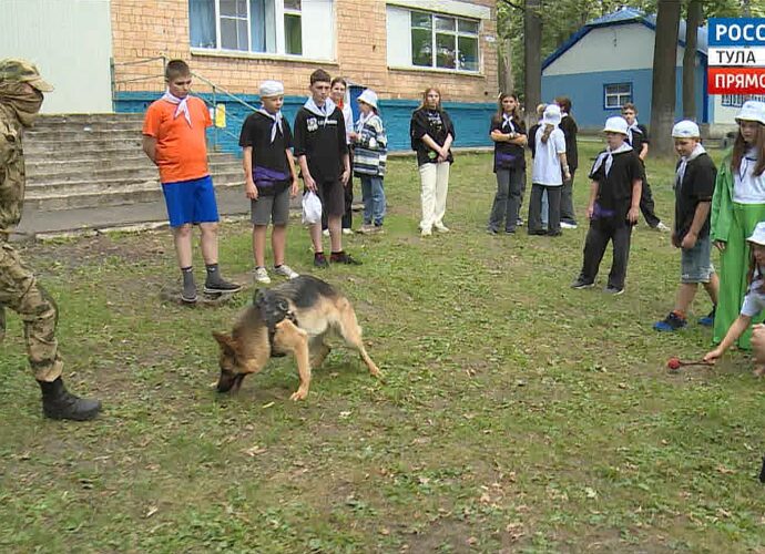 Росгвардейцы с собаками нагрянули в лагерь «Новая волна»