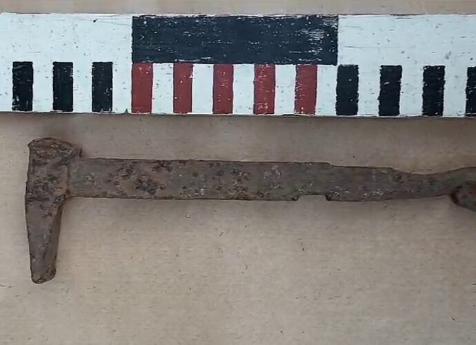 Тульские археологи нашли инструменты XIX века в Заокском районе