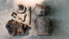 Фрагменты изразцов XVIII века нашли тульские археологи в усадьбе Нарышкиных