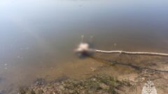 В Тульской области – ещё двое утонувших В Тульской области – ещё двое утонувших