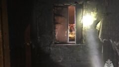 Пожарные вынесли на руках из горящей квартиры пожилую тулячку