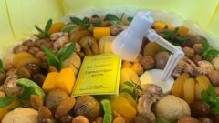 Как удивить букетом учителя, рассказала фуд-флорист Ксения Камерилова