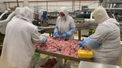 50 тысяч тонн мяса птицы в год выпускает агрохолдинг в Тульской области 50 тысяч тонн мяса птицы в год выпускает агрохолдинг в Тульской области