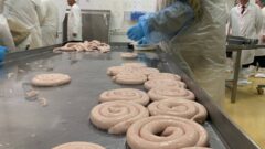 50 тысяч тонн мяса птицы в год выпускает агрохолдинг в Тульской области 50 тысяч тонн мяса птицы в год выпускает агрохолдинг в Тульской области