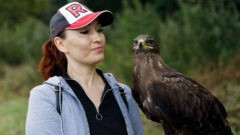 «Охота как искусство» состоялся в Ясной Поляне