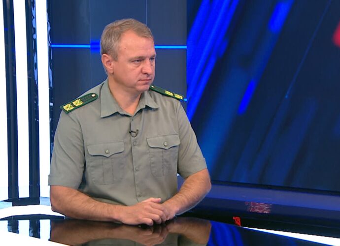 В двух районах Тульской области обнаружен волк