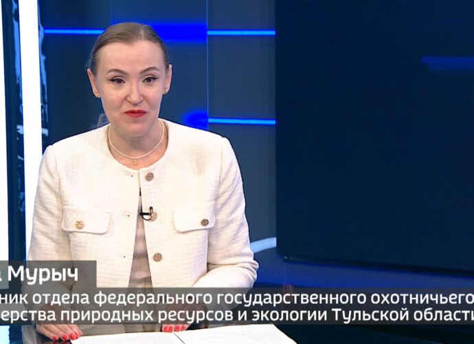 Ветераны ВДВ: «Мы спиной встанем за них»