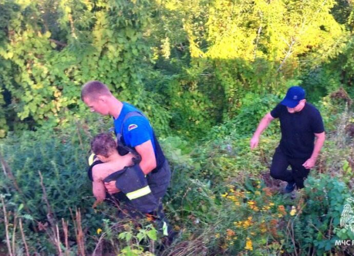 Ранее мы писали, что в Белеве чуть не утонул 9-летний мальчик. Жительница Белёва первой пришла на помощь ребёнку.
