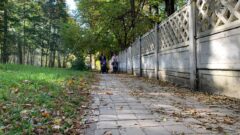 Туляки делятся в соцсетях фотографиями «золотой осени» Туляки делятся в соцсетях фотографиями «золотой осени»