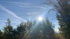 Туляки делятся в соцсетях фотографиями «золотой осени» Погода в Тульской области: Мажорный финал не самого жаркого лета