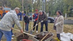 В Туле начался второй этап озеленения