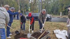 В Туле начался второй этап озеленения