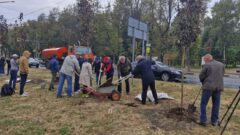 В Туле начался второй этап озеленения