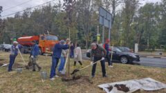 В Туле начался второй этап озеленения