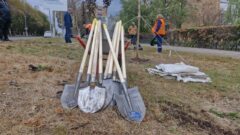 В Туле начался второй этап озеленения