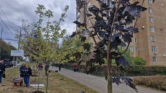 В Туле начался второй этап озеленения