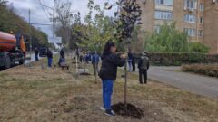 В Туле начался второй этап озеленения