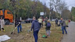 В Туле начался второй этап озеленения