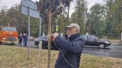В Туле начался второй этап озеленения