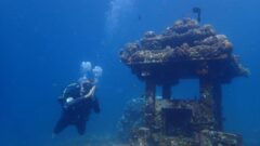 Прикоснуться к географии смогут сотни жителей Тульской области