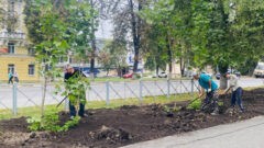 В администрации Тулы сообщили, как идёт ремонт Кировского сквера В администрации Тулы сообщили, как идёт ремонт Кировского сквера