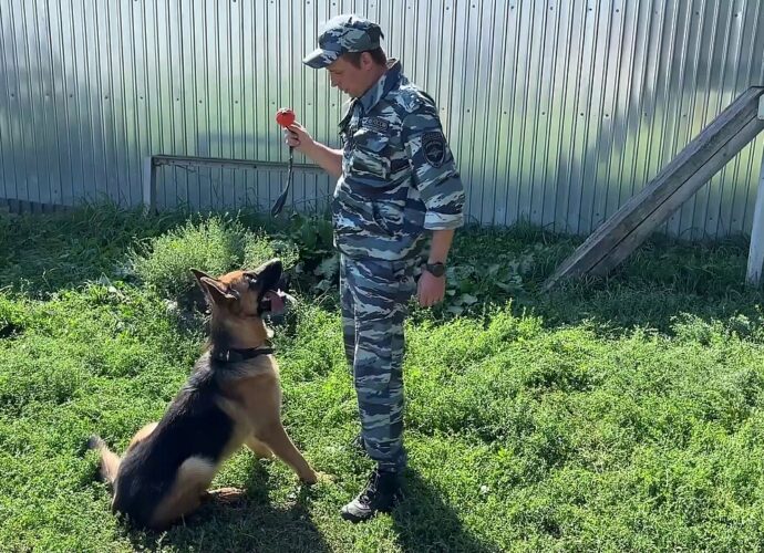 Байкал сможет вернуться в зону СВО после реабилитации в Туле