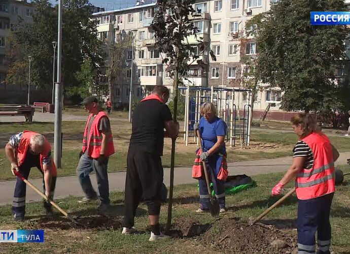 В Туле высадят почти 900 деревьев