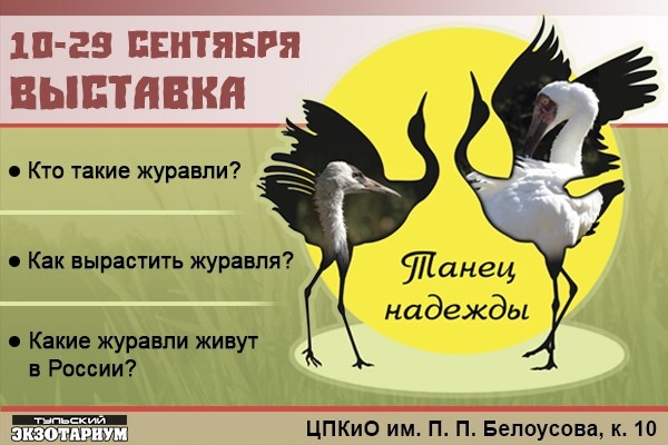 Туляков приглашают отметить День журавля в Экзотариуме