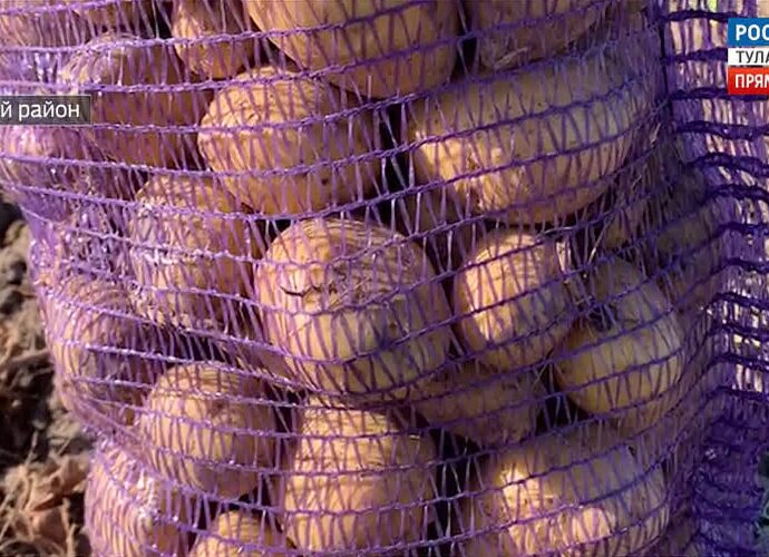Торговые сети начали фиксировать цены на картофель