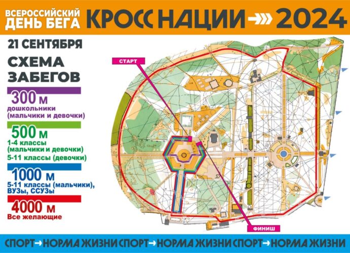 В субботу, 21 сентября, в Тульской области пройдёт Всероссийский день бега «Кросс нации». Это мероприятие проводится одновременно по всей стране в рамках федерального проекта «Спорт – норма жизни» национального проекта «Демография».