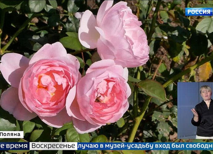 События недели. Эфир от 15.09.2024. Россия 1