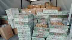 В мариупольскую школу из Тульской области доставлен гуманитарный груз В мариупольскую школу из Тульской области доставлен гуманитарный груз