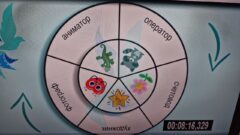 В Туле разработали «помощников» для съёмок мультфильмов