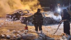 В Новомосковске ночью вспыхнули легковушки В Новомосковске ночью вспыхнули легковушки