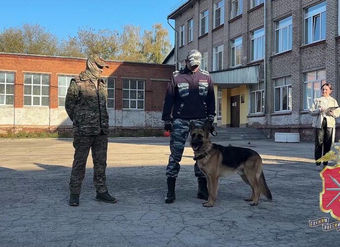 Пёс Байкал, прибывший с СВО, побывал в гостях у тульских школьников
