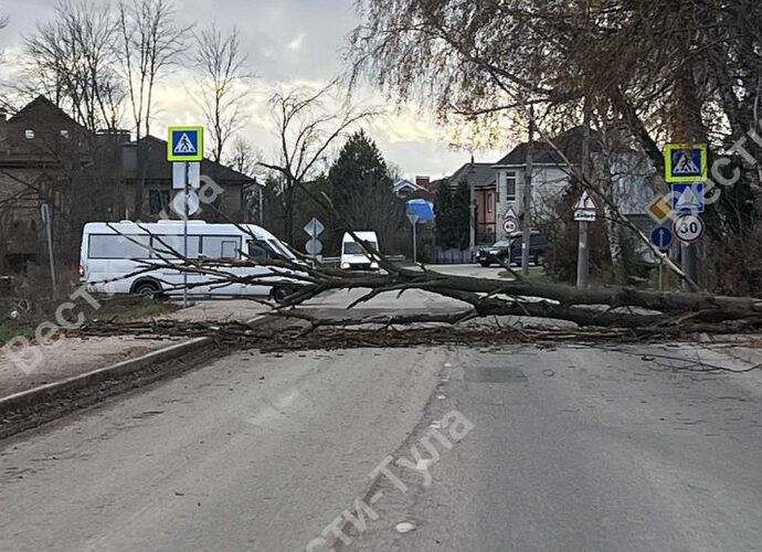 В Тульской области два дня будет бушевать ветер