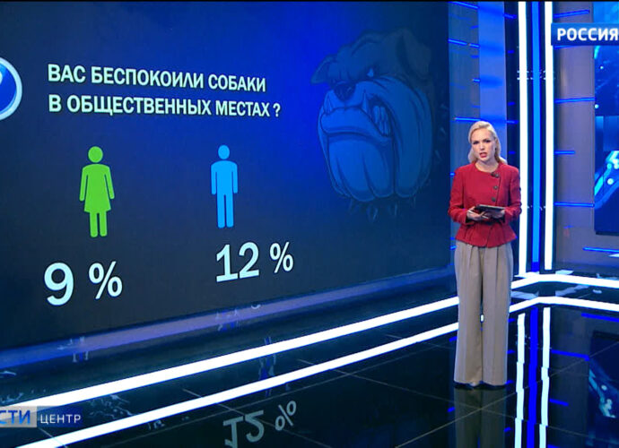 Вести Центр. Эфир от 20.10.2024