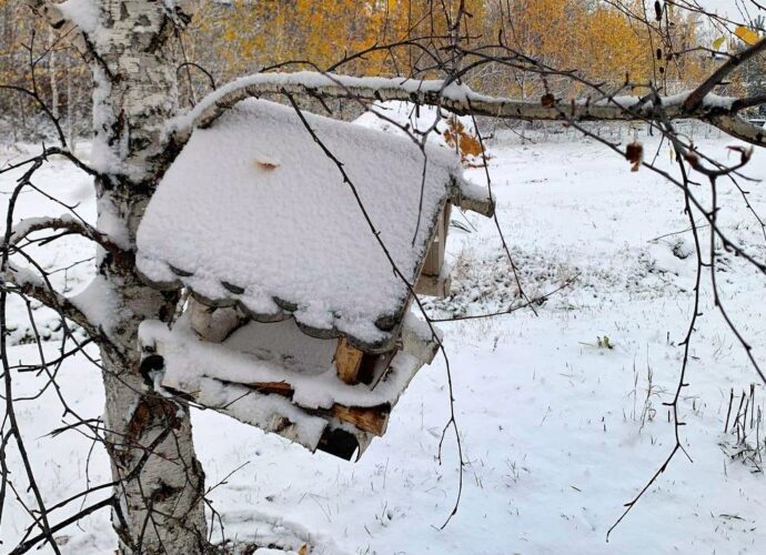 Погода, зима, снег