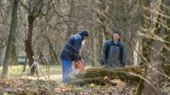 После бури в Ясной Поляне тульские спасатели ликвидируют последствия непогоды После бури в Ясной Поляне тульские спасатели ликвидируют последствия непогоды