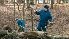 После бури в Ясной Поляне тульские спасатели ликвидируют последствия непогоды После бури в Ясной Поляне тульские спасатели ликвидируют последствия непогоды
