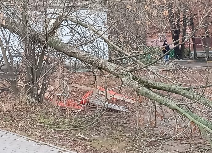 Усиление ветра в Тульской области