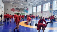 День самбо отметили в Туле День самбо отметили в Туле