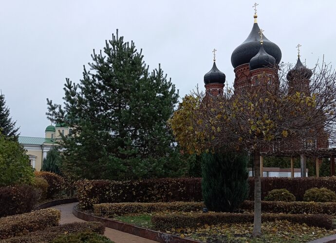 Метеоролог Александр Шувалов: В выходные Тульская область пройдёт пик потепления