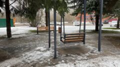 В Донском в этом году появились сразу два новых сквера В Донском в этом году появились сразу два новых сквера