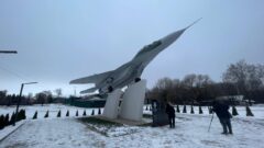 В Донском в этом году появились сразу два новых сквера В Донском в этом году появились сразу два новых сквера