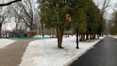 «Химия с природой – 2.0»: Дмитрий Миляев оценил благоустройство щёкинского парка