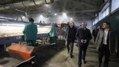 Губернатор пообщался с работниками овощного комплекса «Спасское» Губернатор пообщался с работниками овощного комплекса «Спасское»