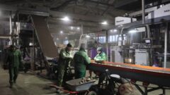 Губернатор пообщался с работниками овощного комплекса «Спасское» Губернатор пообщался с работниками овощного комплекса «Спасское»