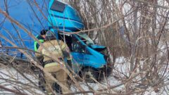 За сутки спасатели МЧС привлекались к ликвидации 14 ДТП в Тульской области За сутки спасатели МЧС привлекались к ликвидации 14 ДТП в Тульской области