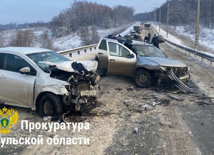 В ГАИ сообщили подробности массового ДТП в Щёкинском районе